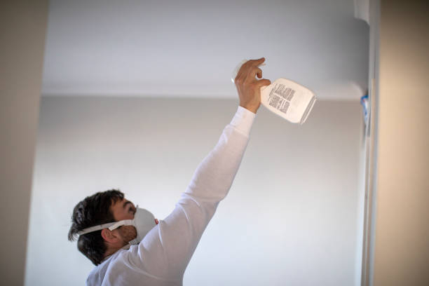 Best Water Damage Restoration  in Chatham, IL